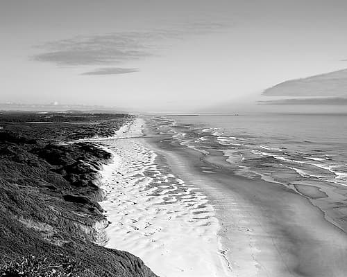Oregon Dunes along the Pacific Ocean Landscape Print
