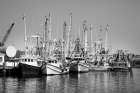 Bayou La Batre-Alabama USA Art Print