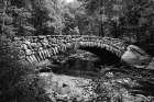 Rock Creek Park-NW-Washington-D.C. Art Print