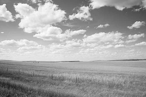 South Dakota Art Print