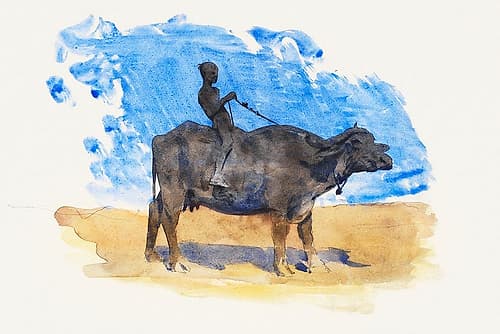 Boy on Water Buffalo Art Print