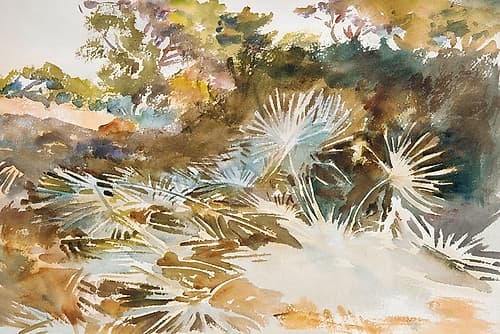 Landscape with Palmettos Art Print