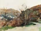 Spanish Landscape Art Print