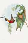 Topaza pyra-Fairy Topaz Art Print
