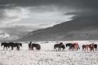 The Frozen Plain Art Print