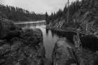 Lewis River Channel, Yellowstone National Park Art Print