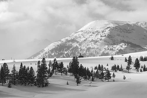 Quadrant Mountain in the distance, Bannock Peak, Yellowstone National Park Landscape Print