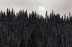 Sun through the Fog, Yellowstone National Park Art Print