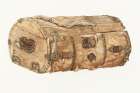 Trunk 1937 Vintage Print