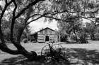 An old wooden cabin in Texas Art Print