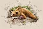 Bearly There Art Print