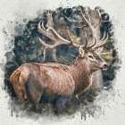 Forest Prince Art Print