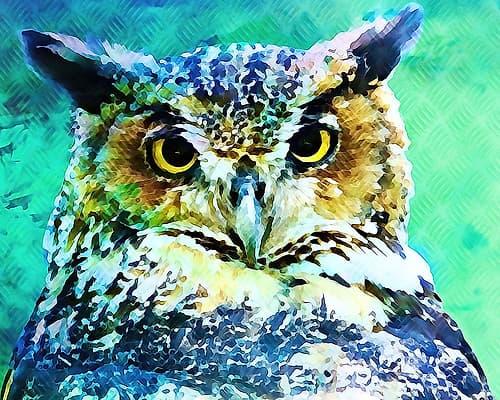 Great Horned Owl Art Print