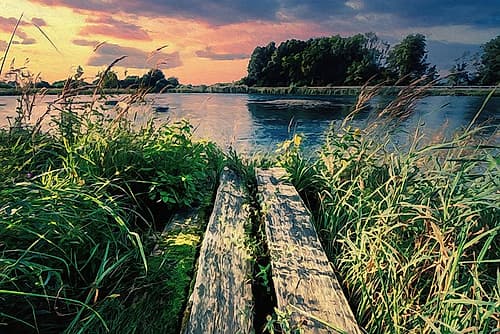 Evening Swim Landscape Print