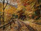 Falling Leaves Art Print