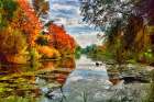 Lakeside Autumn Trees Art Print