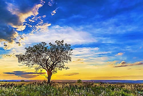 Solitary Tree at Sundown Landscape Print
