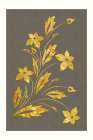 Golden Flowers Art Print