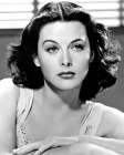Hedy Lamarr, 1940 Art Print