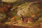 Doe and Two Fawns Art Print