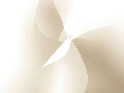 Butterfly Impression Art Print