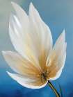 Flower In Bloom Art Print