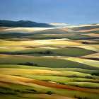 Colorful Patchwork of Land Art Print