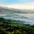 Foggy Lagoon Art Print