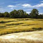 Hay Field Art Print