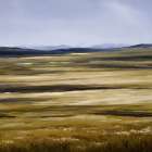 High Prairie Art Print