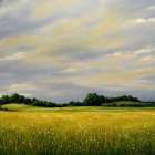 Long Grass Prairie Art Print