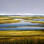 Marshland Art Print