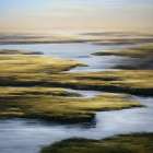 Overlook of the Coastal Marsh Art Print