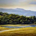 Stream Beside the Hedgrow Art Print
