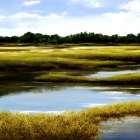 Unspoiled Wetlands Art Print