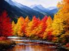 Autumn Vistas 4 Art Print