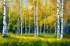 Birch Grove 2 Art Print