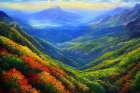 Forest Canopy Views Art Print