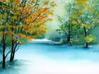 Snowy Wood Art Print