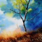 Solitary Tree Art Print