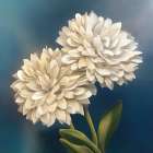 Elegant Flowers 12 Art Print