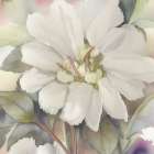 Elegant White Flower 1 Art Print
