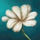 Elegant White Flower 2 Art Print