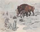 Buffalo Protecting Calf 1907 Art Print
