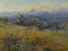 Deer in Landscape Art Print