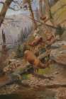 Glacier Park Deer Art Print