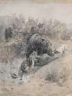 He Tripped and Fell into a Den Art Print