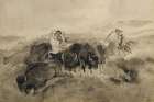 Indian Buffalo Hunt 1894 Art Print