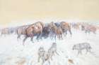 Montana Winter 1905 Art Print