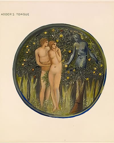 The Flower Book Adders Tongue 1905 Art Print